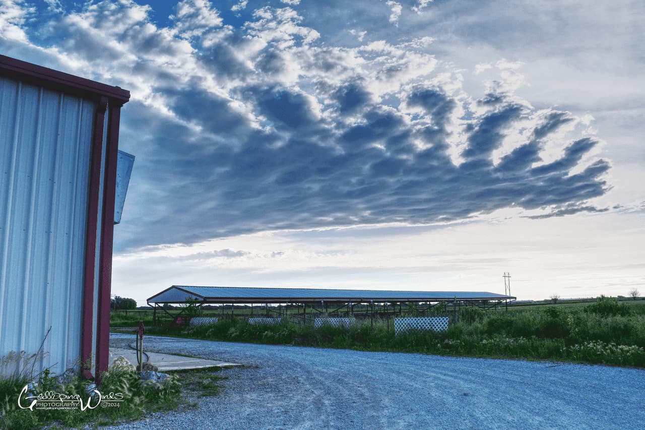 The Prairie Rose Arena horse motel.